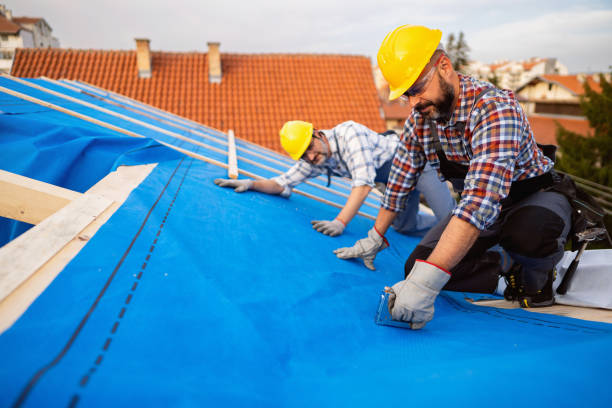 Best Roof Leak Repair  in Naples, UT