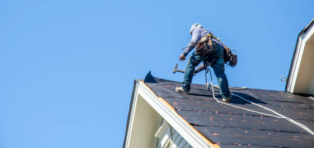 Professional Roofing Contractor in Naples, UT